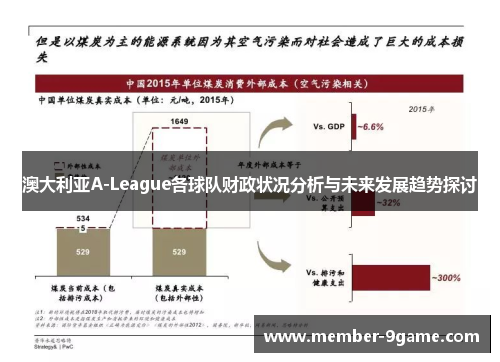 澳大利亚A-League各球队财政状况分析与未来发展趋势探讨