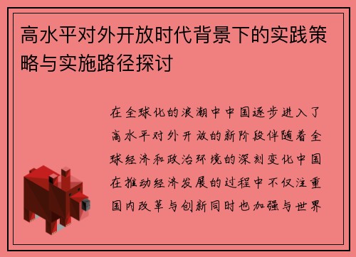 高水平对外开放时代背景下的实践策略与实施路径探讨