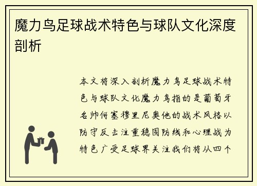 魔力鸟足球战术特色与球队文化深度剖析
